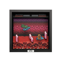 Pixel Frame - Battleloads - NES Turbo Tunnel (9